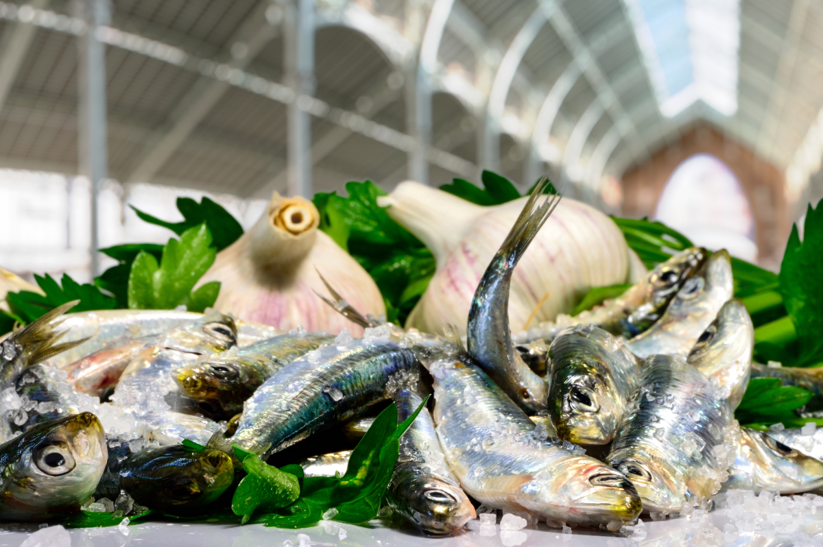 fish at Valencia Mercado AdobeStock 1602146636 web