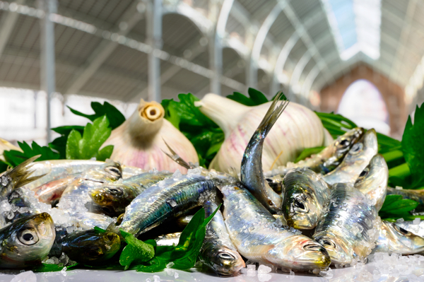 Report from Valencia: Aquaculture for all?