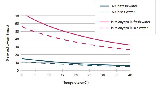 Oxygen Advice and Support