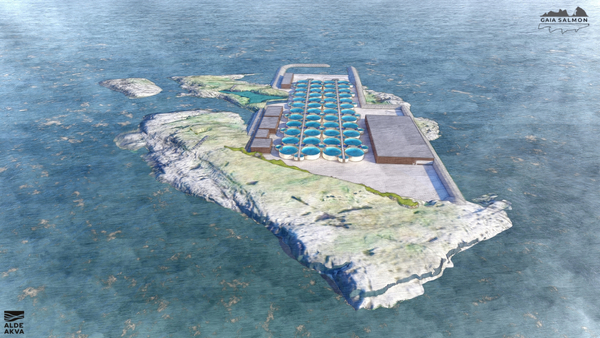 Ambitious fish farm project falls into insolvency