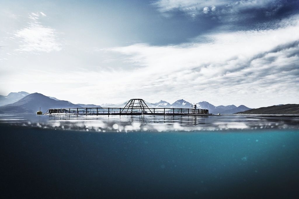 Ler&oslash;y Seafood Q2 lower, Gigante Salmon hit by high mortality