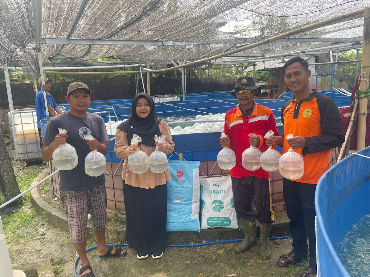 Meita (second from the left) assisted in channeling government aid to shrimp farmer group in Rajabasa Lampung for seed supply. SourceMeita Saniyyah Ubay web