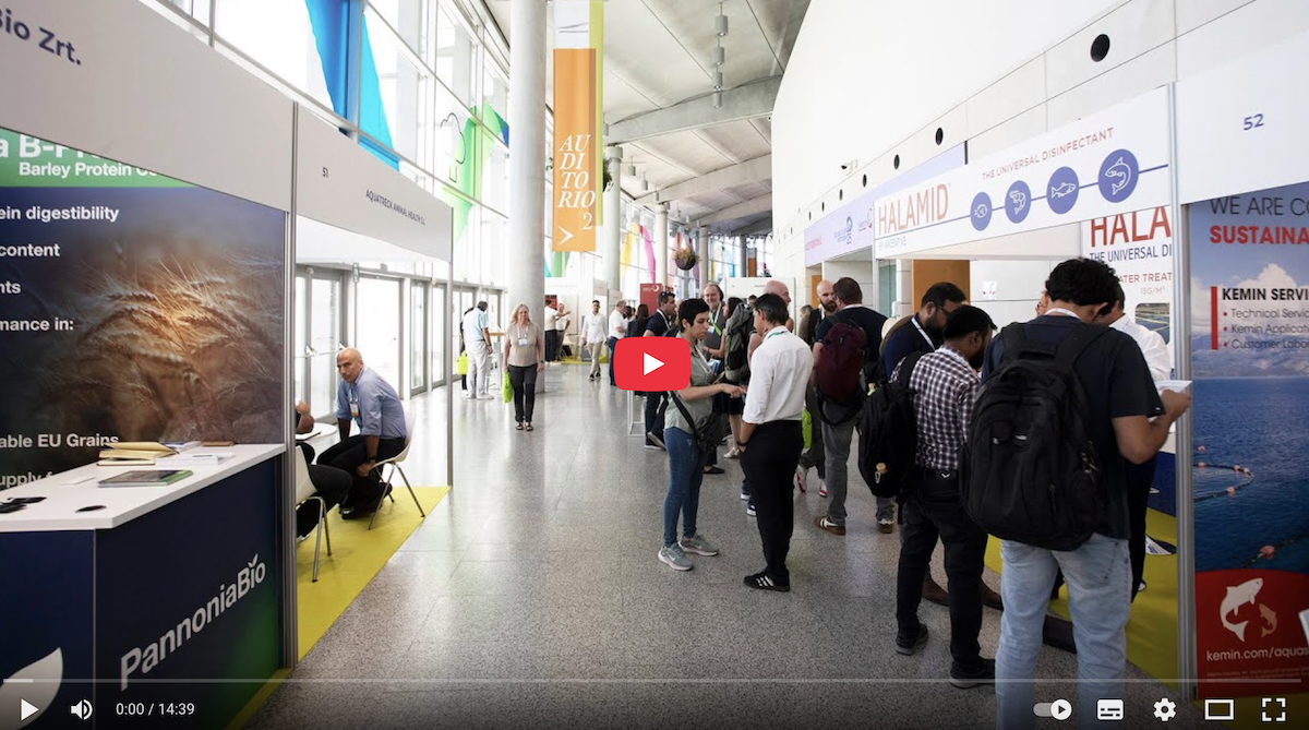 Aquaculture Europe 2025 - video