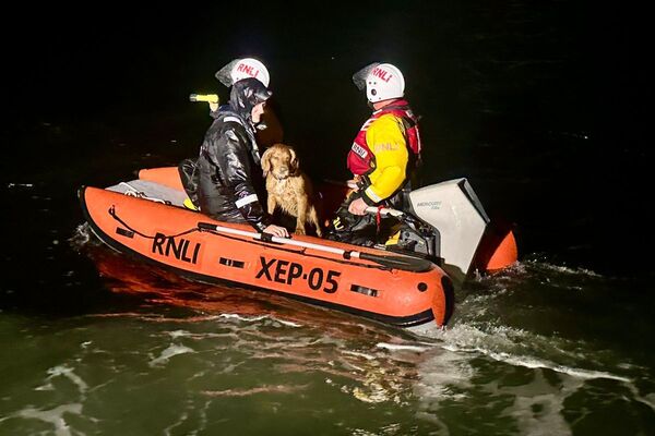 Cocker spaniel assists Oban RNLI crew in training rescue