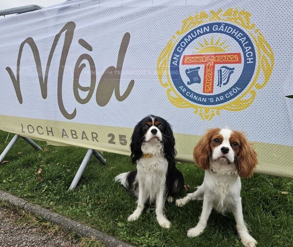 Even more M&ograve;d magic moments...