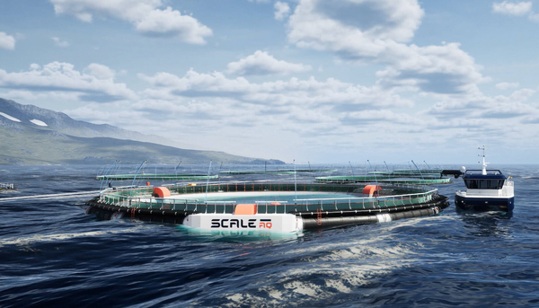 ScaleAQ sells first closed cage solution