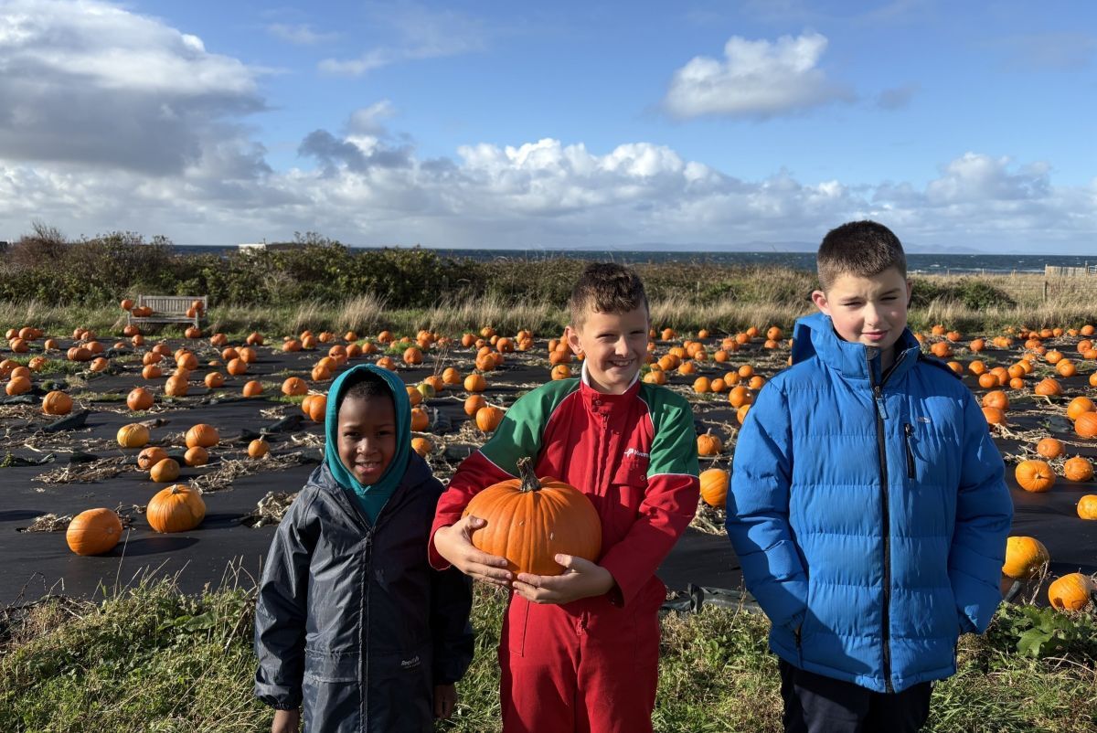 Little learners dig up dirt on growing pumpkins