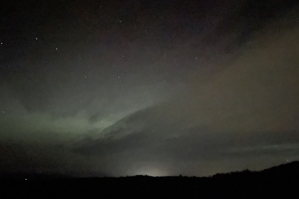 Wild Words by Kirsteen Bell: Less light rarely means total darkness