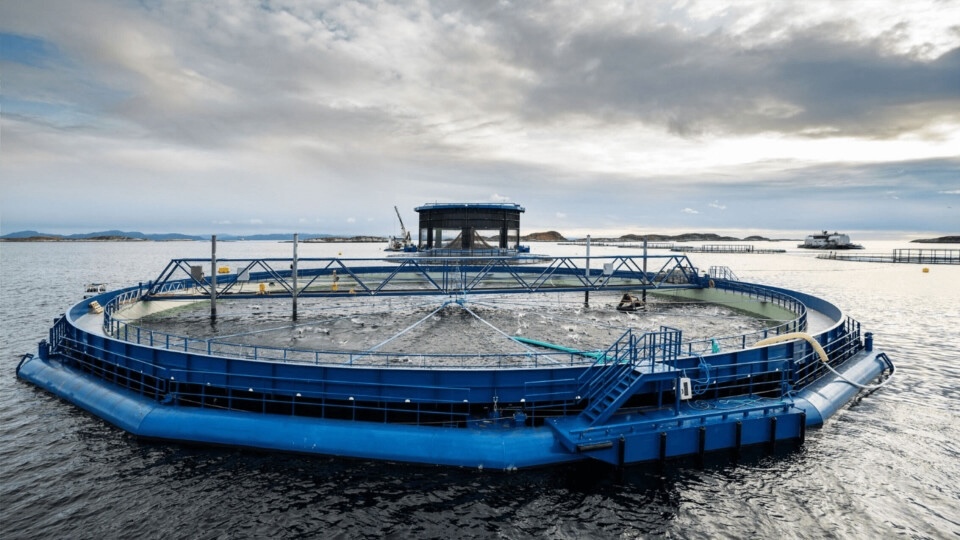 Aquatraz G1 G4 SalMar web2 Aquatraz G1 G4 SalMar web2