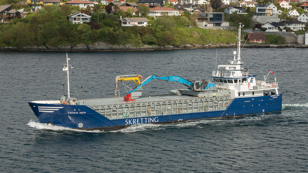 Feed boat worker killed in accident