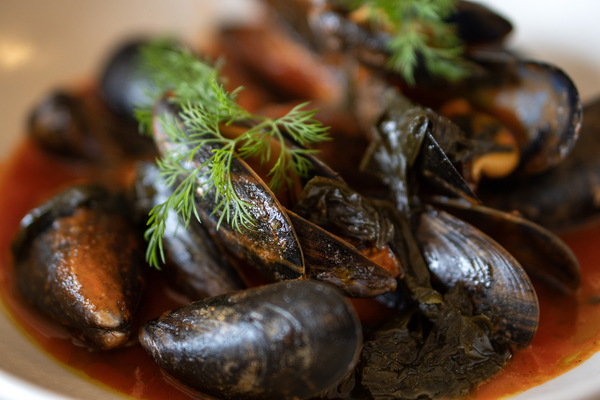 Scotland's mussel production breaks records