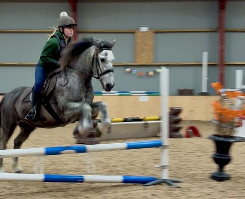 West Coast Today - Media Library - No B45Ponyshow01 25 isla miller web
