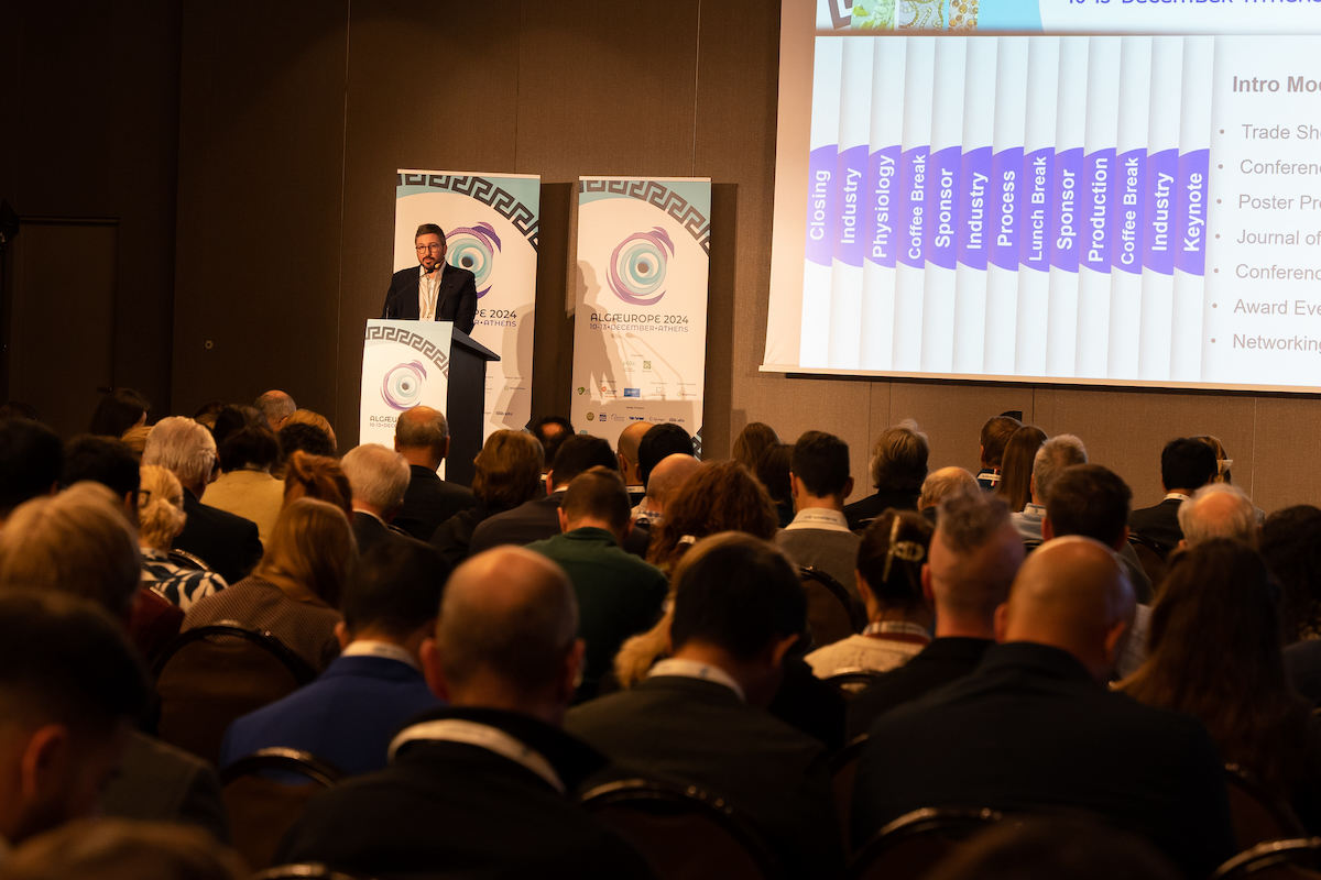 Opening Adrien Vincent web