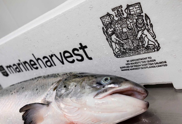 Mowi loses Royal Warrant