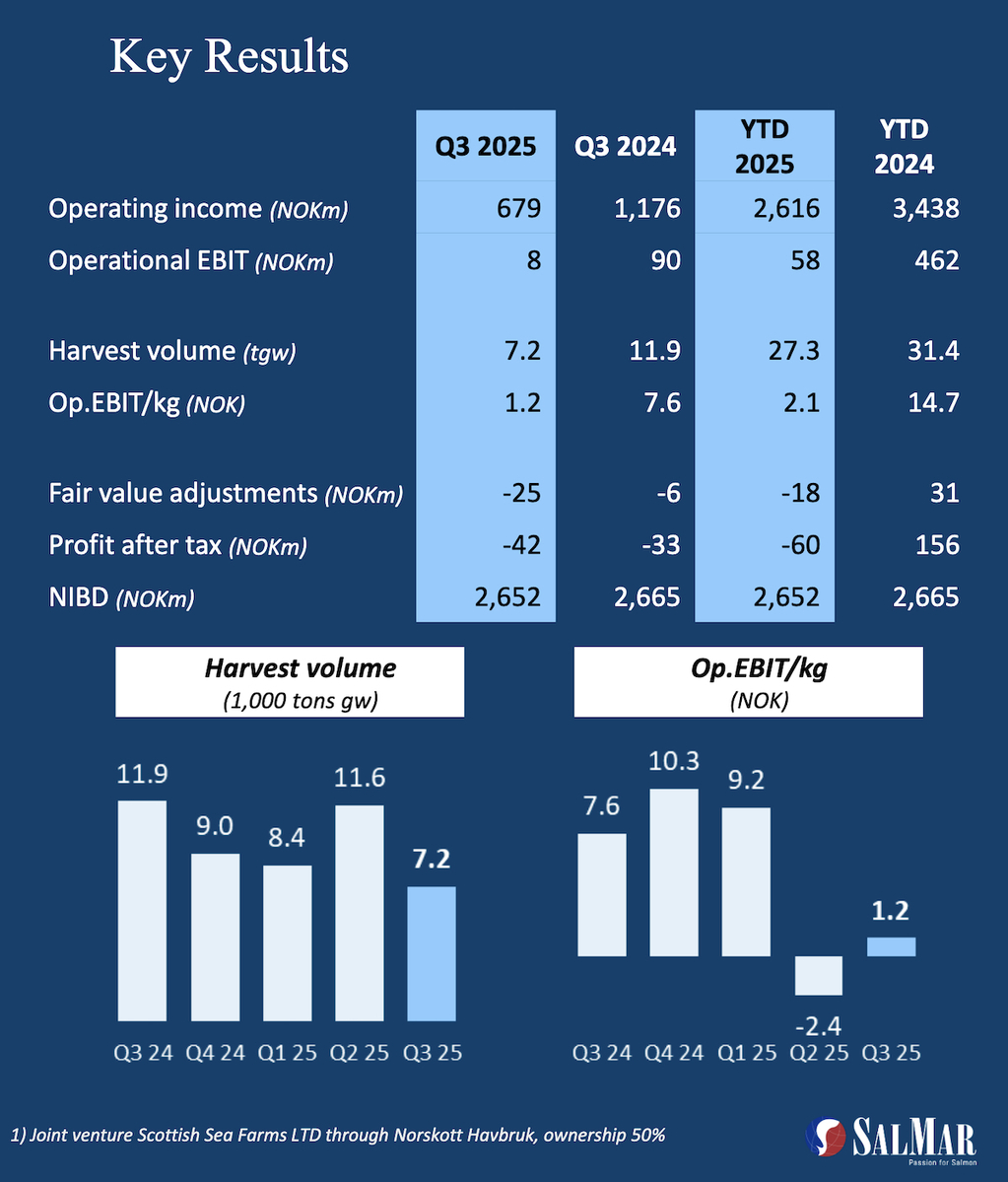 SSF highlights Q3 2025 web SSF highlights Q3 2025 web