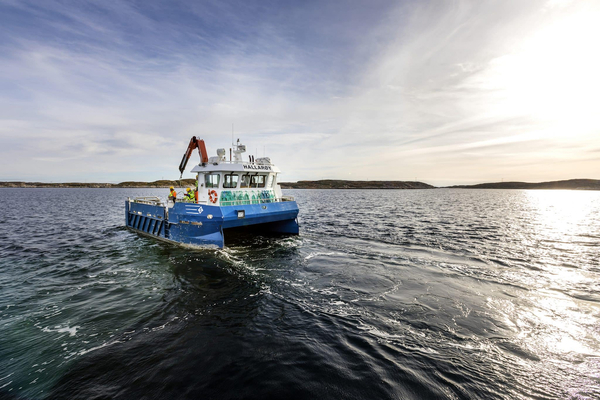 Strong Q3 performance from SalMar despite low market prices