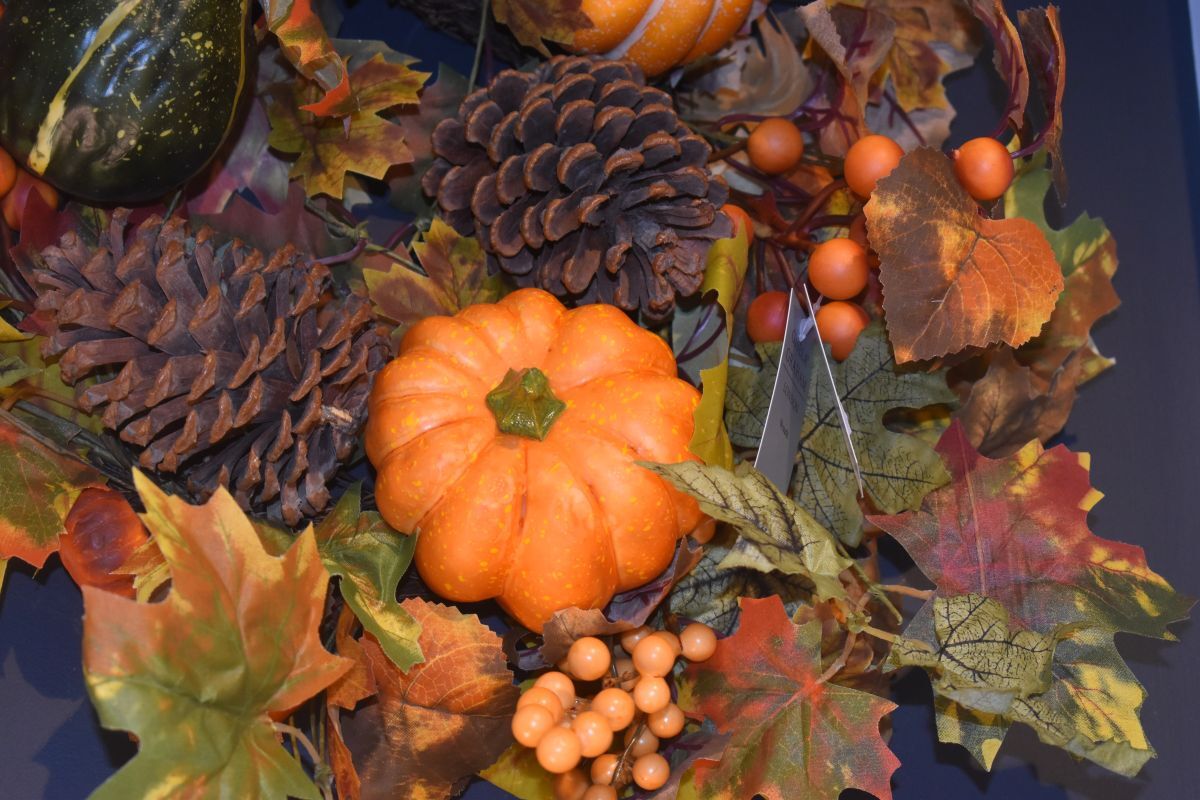 The Croftless Crofter: Nic Goddard - November 13 2025