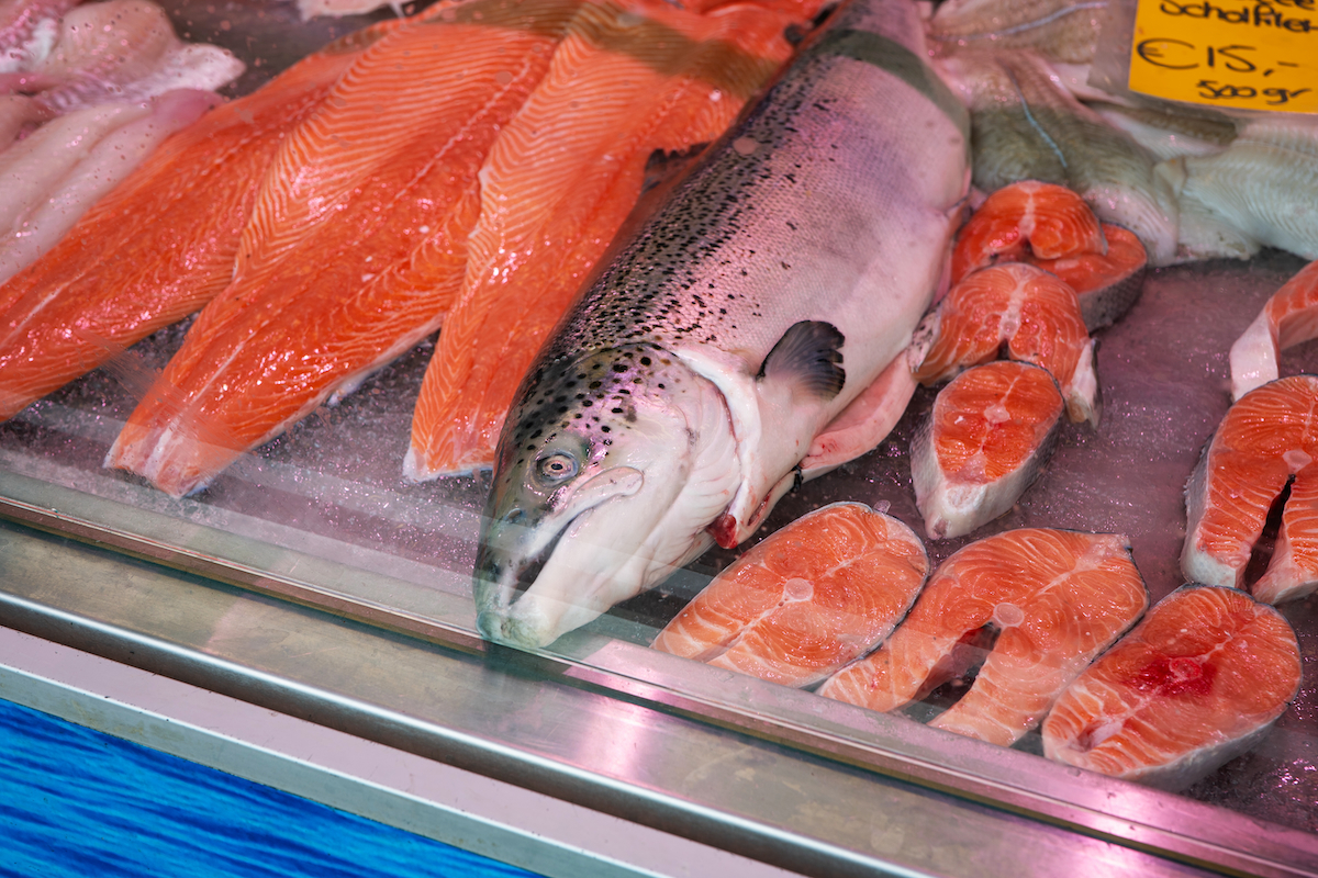 salmon in fishmongers AdobeStock 1743989833 20251107