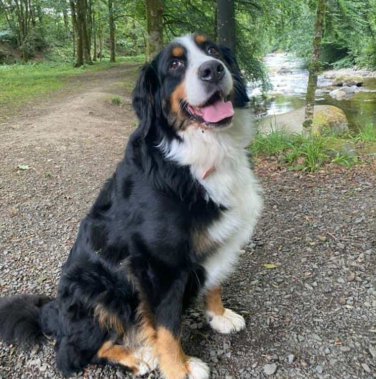 Guinness conquered her fear of water during her six-day getaway from Seil and took in a bit of island hopping too on her way to Degnish over on the mainland. Photograph: Amber McWilliams