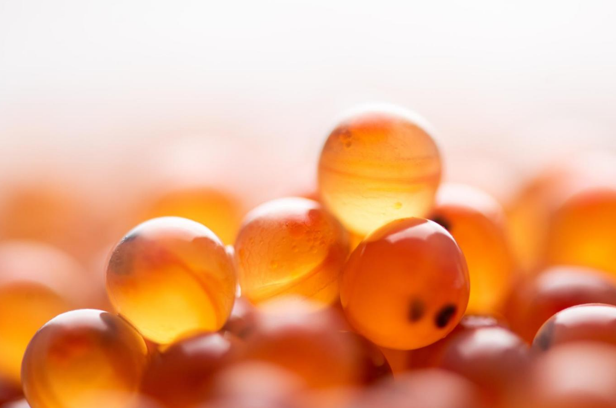 The power of genetics - AquaGen’s breeding innovations enhance salmon health and sustainability