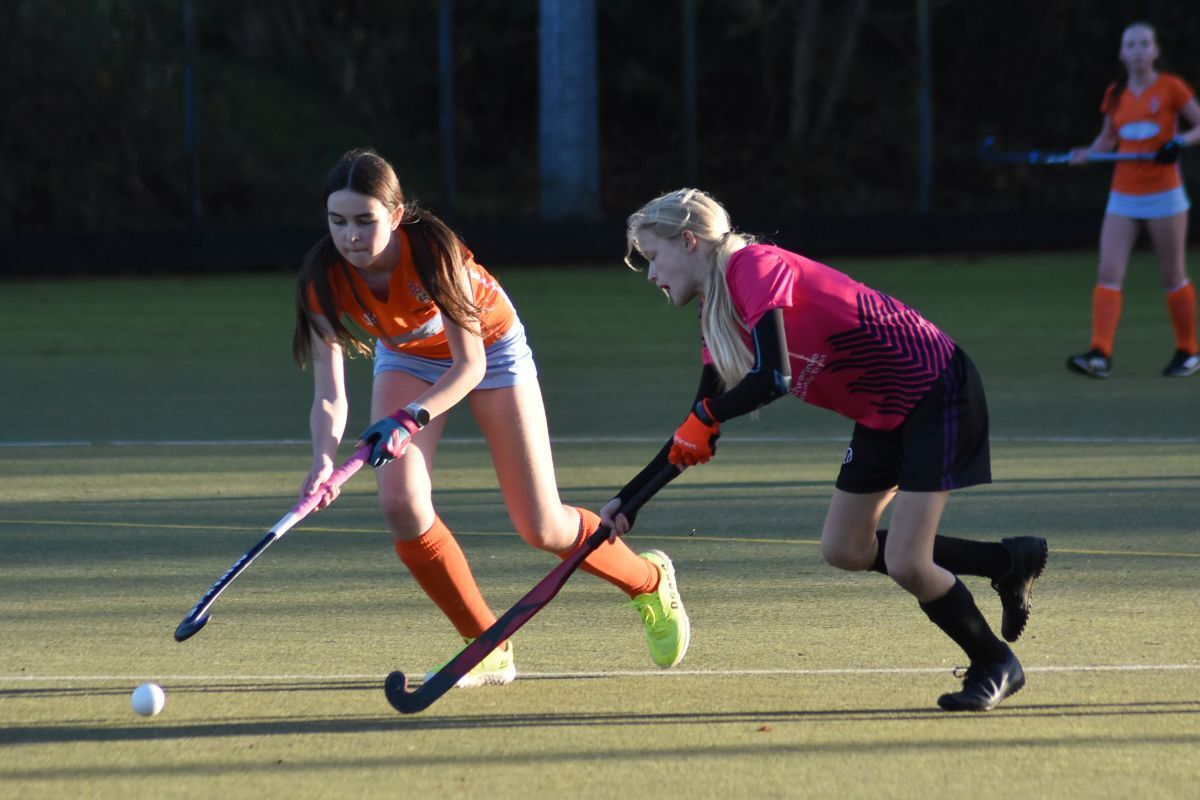 Arran Ladies put up a good fight