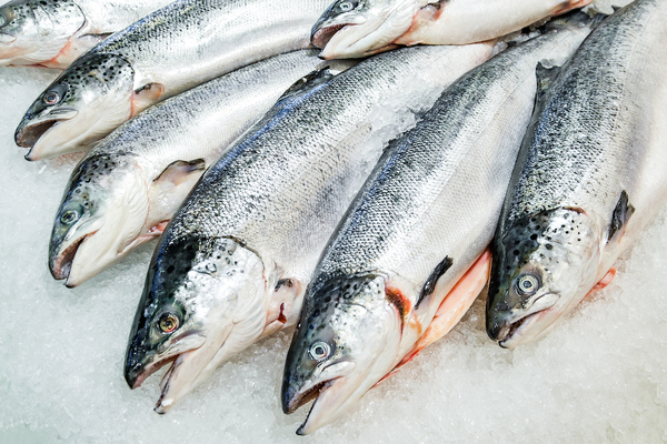 Salmon export prices down again