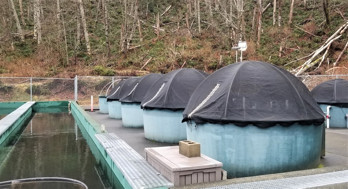 20200227 Quinsam Tubs STHD 20200227 Quinsam Tubs STHD