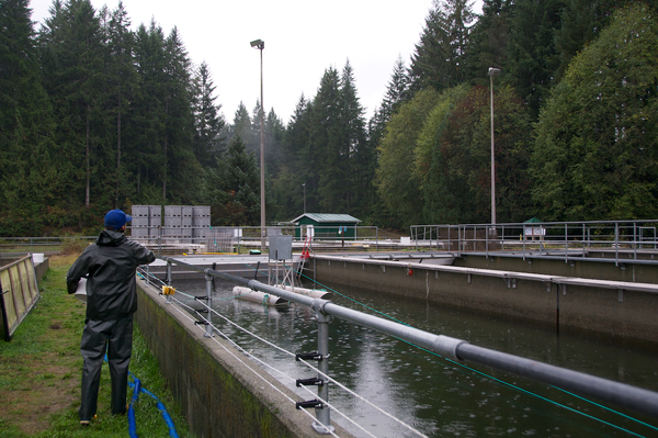 Hatcheries: From production to conservation