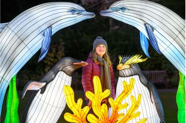 Win a Family Ticket to Edinburgh Zoo&rsquo;s Spectacular Giant Lantern Trail