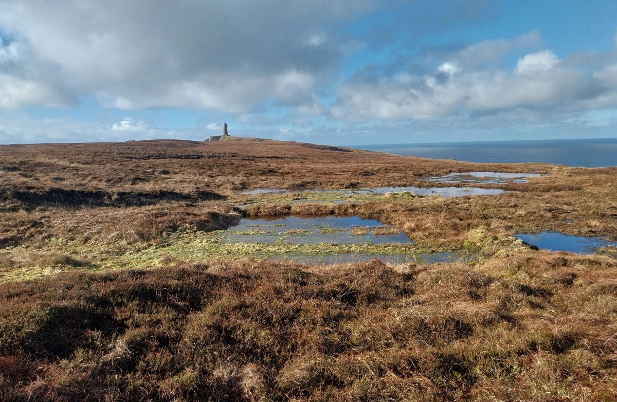 The Oa peatland. Photograph: David Wood