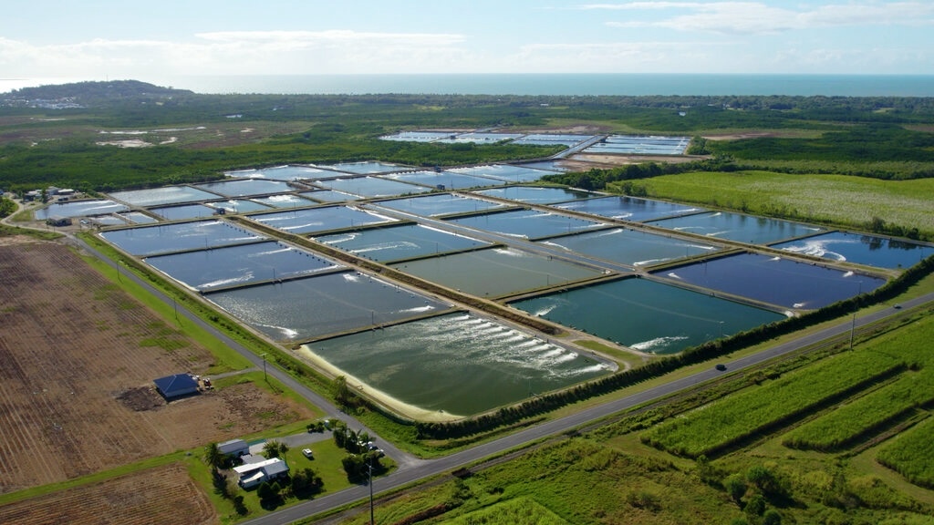 Killaloe farm photo Mainstream 20251121 Killaloe farm photo Mainstream 20251121