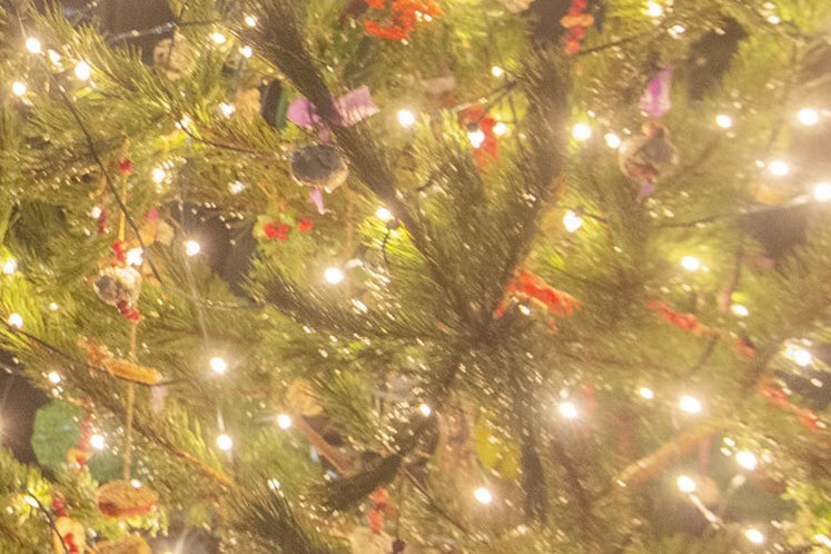 Mallaig lights up for Christmas on November 28