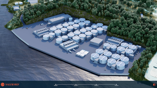 Salfjord to get power for its planned flow-through salmon farm – after 10-year wait