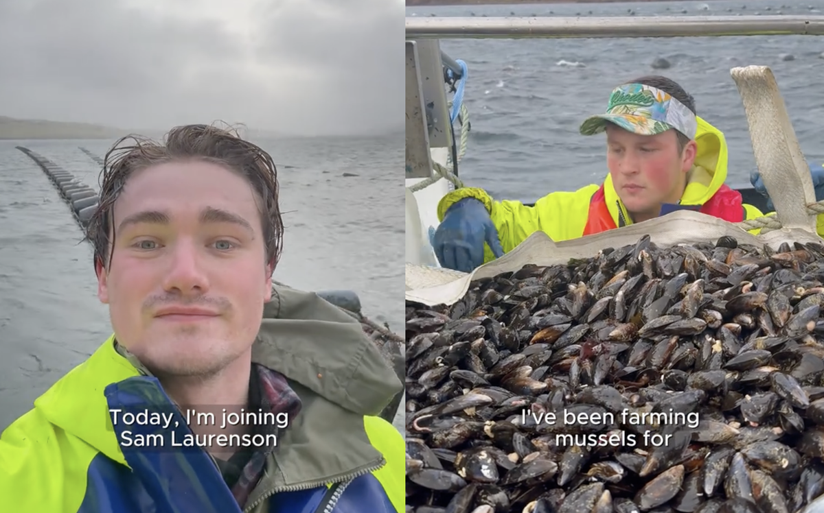 James Sibley Shetland mussel farm TikTok