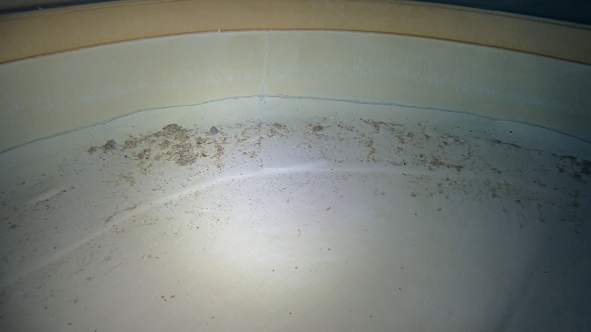 Hotel moves to upgrade pool after public complaints over its condition