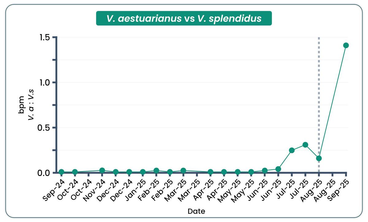 esox 25.10.31 Figure.2 V.a vs V.s 14nov25 esox 25.10.31 Figure.2 V.a vs V.s 14nov25