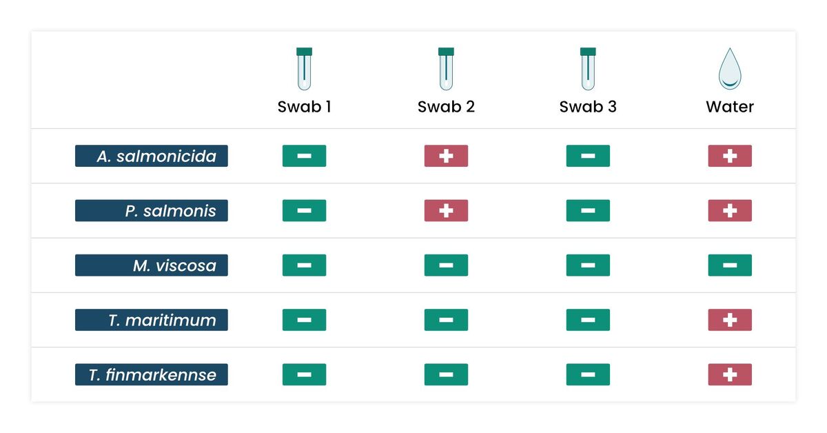 esox 25.10.31 figure.1 swabs vs water sampling esox 25.10.31 figure.1 swabs vs water sampling