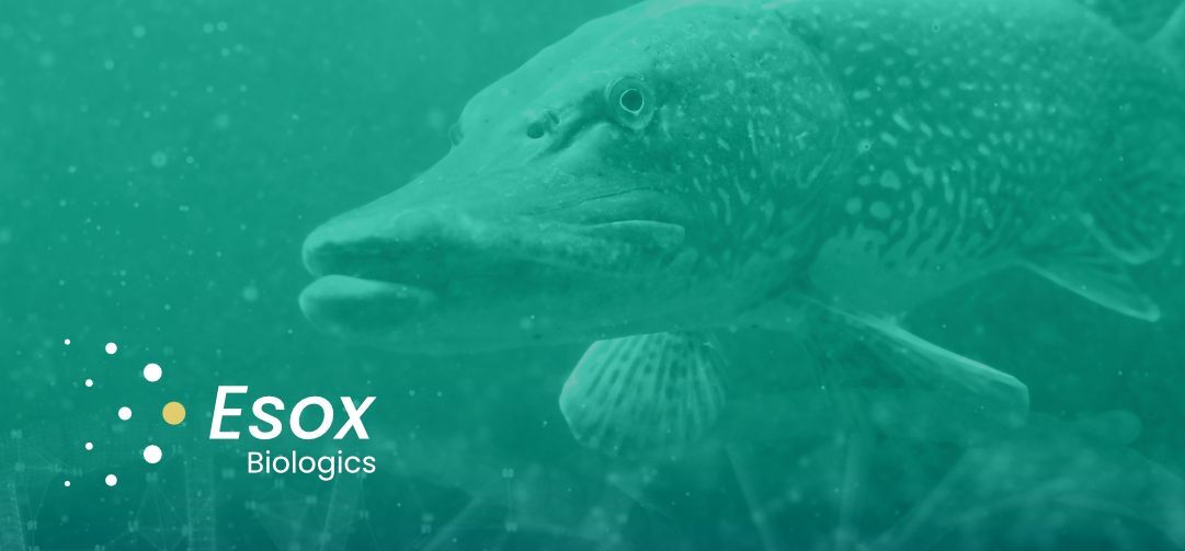 esox 25.10.31 main image esox biologics esox 25.10.31 main image esox biologics