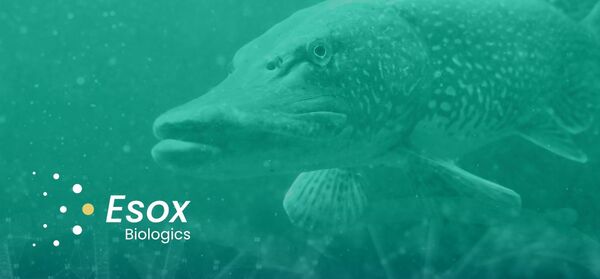 Identifying the microbes of interest