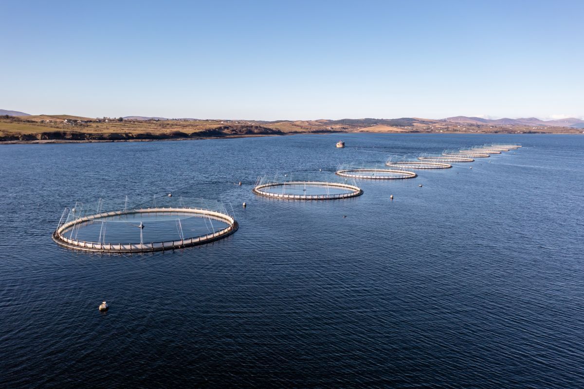 fish farm Donegal Ireland AdobeStock 504542190 20251118