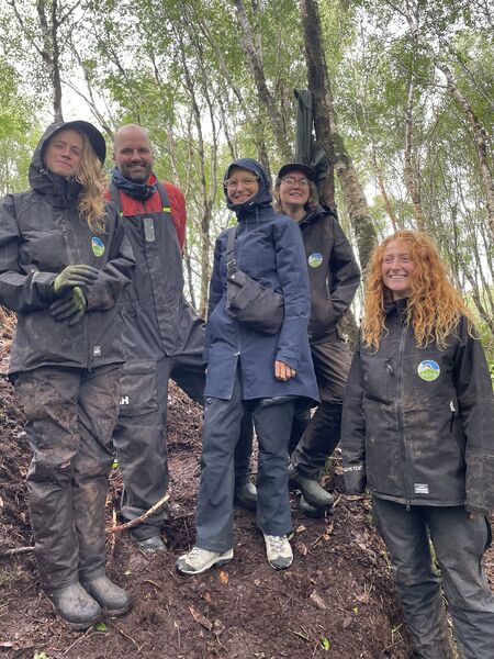 Greens push to double size of West Coast's rainforest