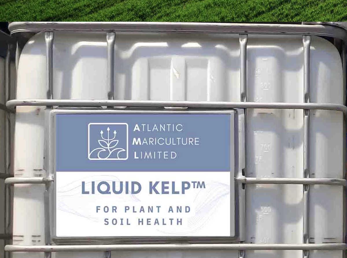 Fish Farmer - News - Kelp extract could help farmers cut fertiliser use ...