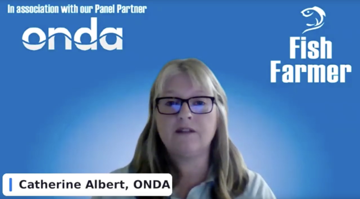 Catherine Albert Making Waves webinar web Catherine Albert Making Waves webinar web