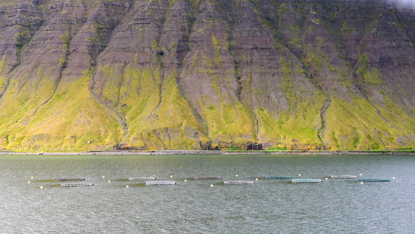 Iceland aquaculture and fishing in 'troubled waters'