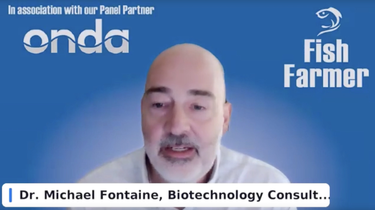 Michael Fontaine Knoell web Michael Fontaine Knoell web