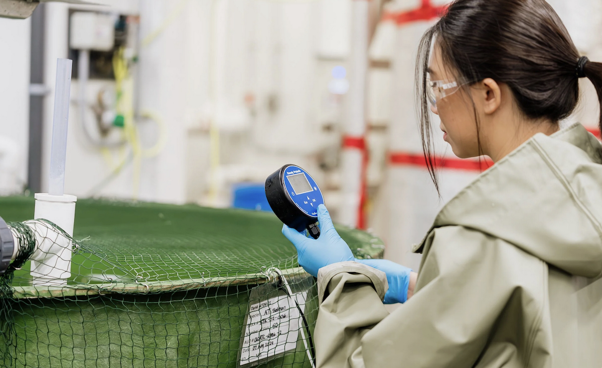 Onda testing web Onda testing web