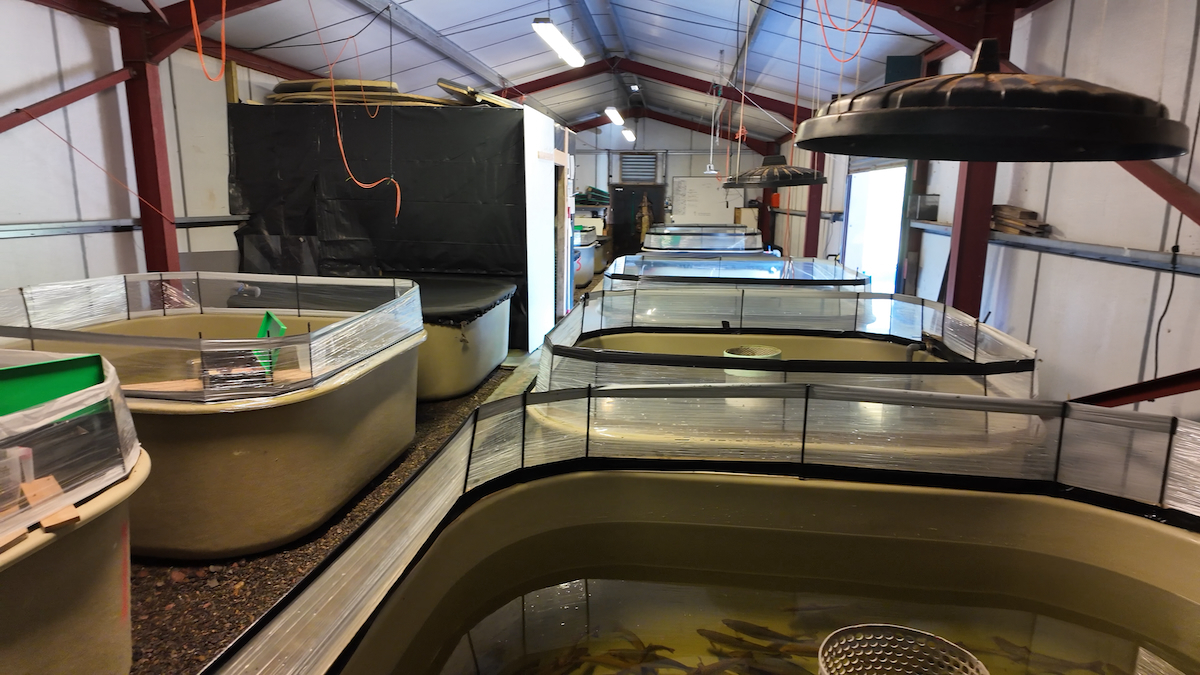 Otter Ferry tanks Gene Bank7