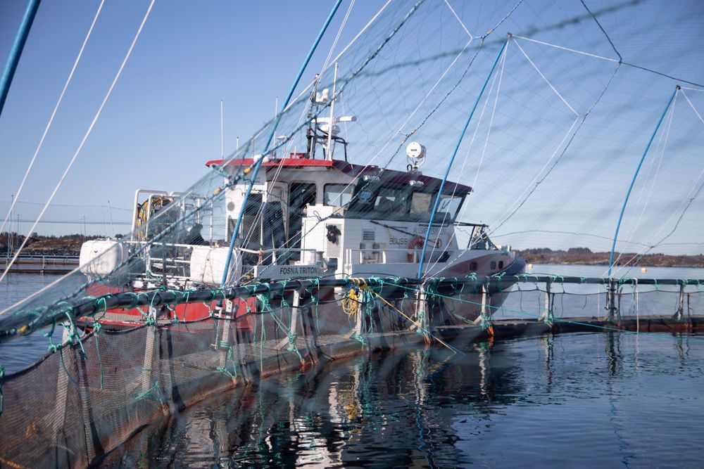 Abyss service vessel at pen