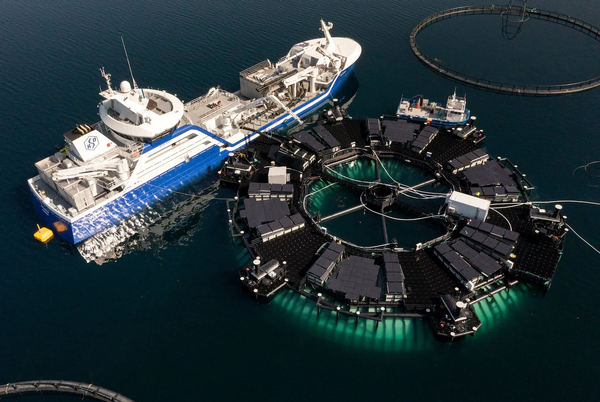 SalMar reports progress in Marine Donut development project