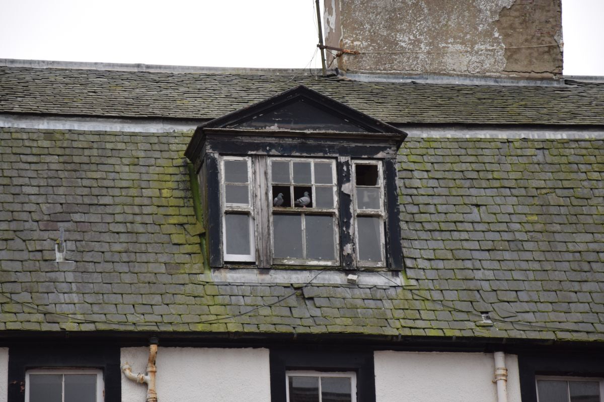Pigeons are entering the hotel through broken windows.